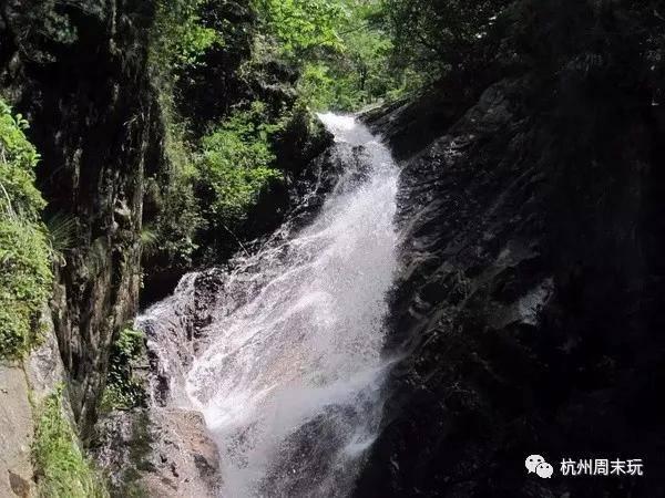 58问答平台夏季怎样炖鸡汤不上火,疑难问题一站式解答!
